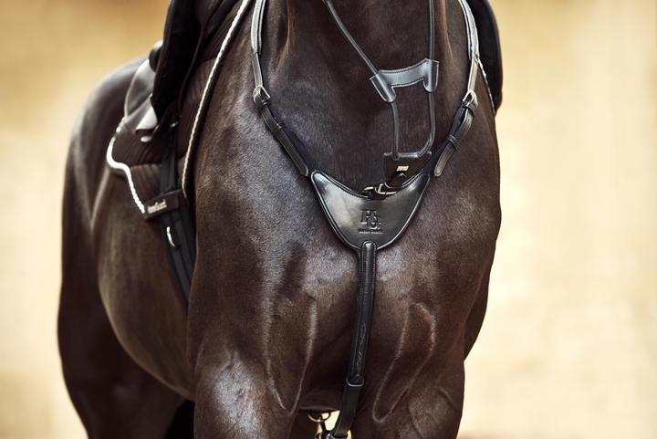 Image du produit Horse Guard Dian