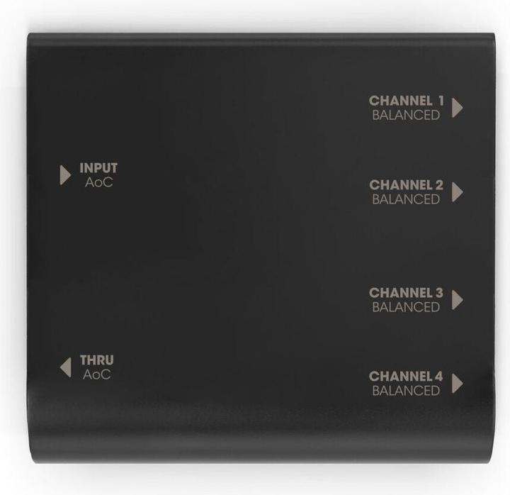 Immagine prodotto Palmer Audio AoC Box XLRm - Audio over Cat Box da etherCON a 4 x XLR maschio