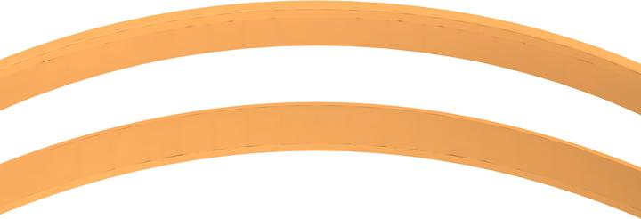 Productafbeelding Speedo Junior Hydrosity 2.0 (Eén maat voor iedereen)