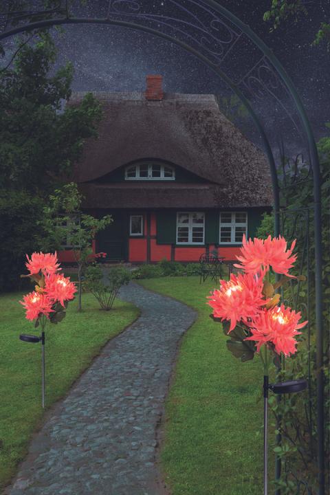 Actual product image Näve LED solar light (IP44)