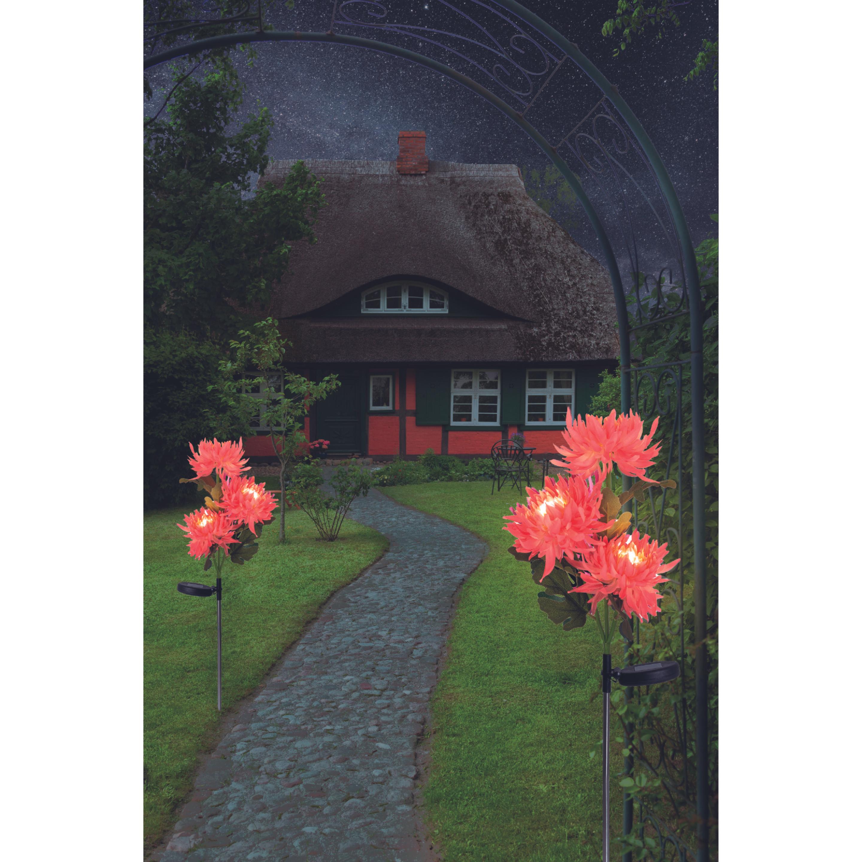 Thumbnail - Näve, Gartenbeleuchtung, LED Solarleuchte (4 lm, IP44)