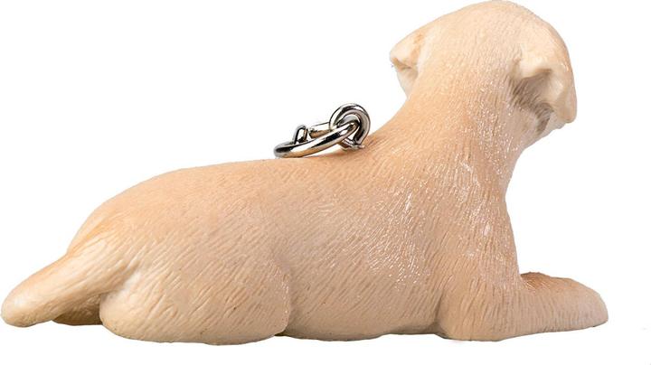 Actual product image Labrador