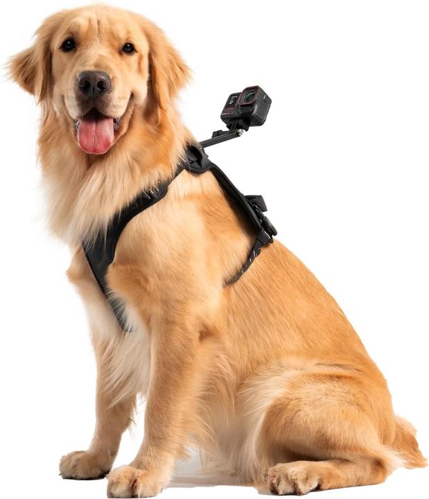 Image du produit Insta360 Pet Harness Mount, size L