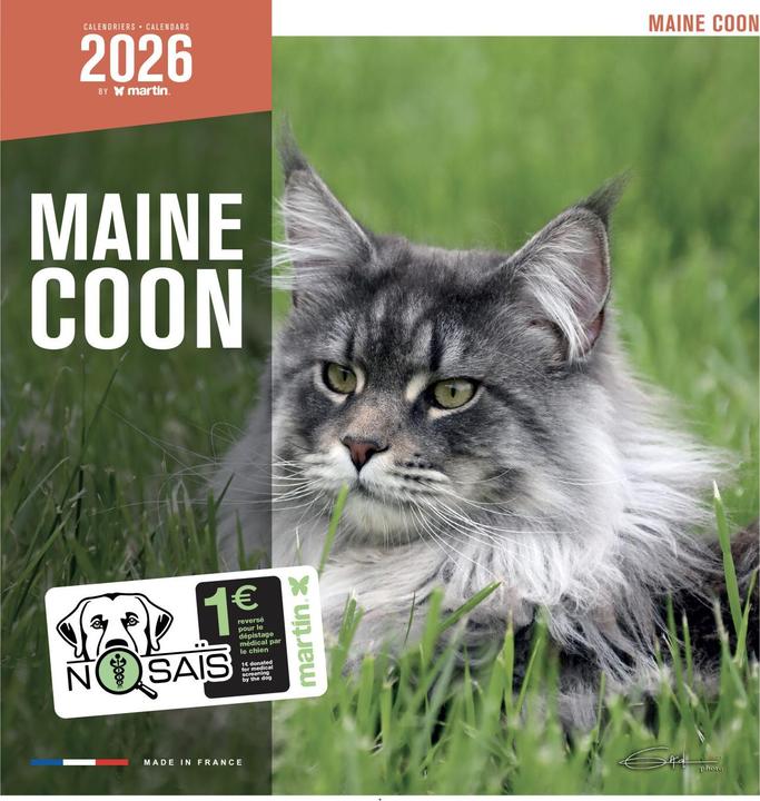 Produktbild Martin Sellier Maine Coon