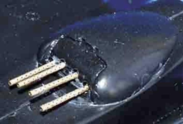 Produktbild Eduard P-61 Black Widow Exterior