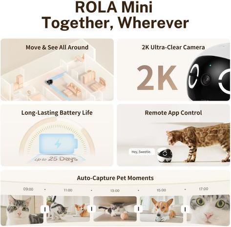 Image du produit Enabot Mini robot compagnon Rola (2304 x 1296 Pixels)