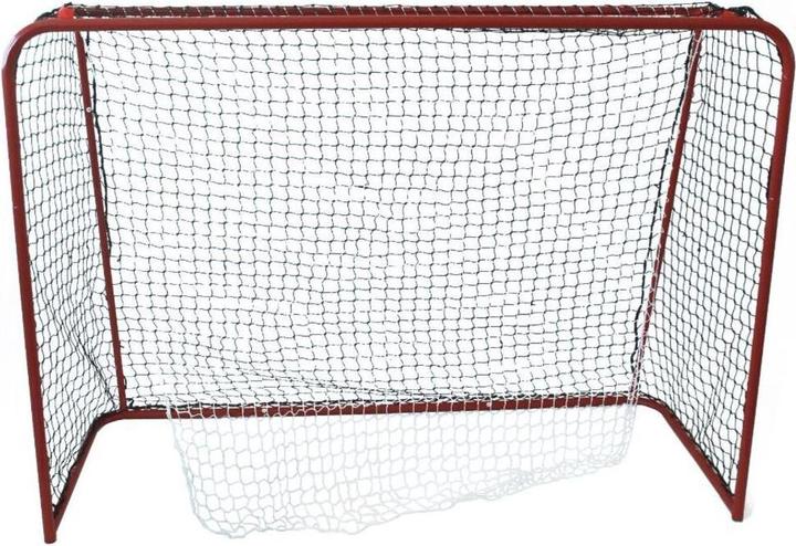 Champ But d'unihockey