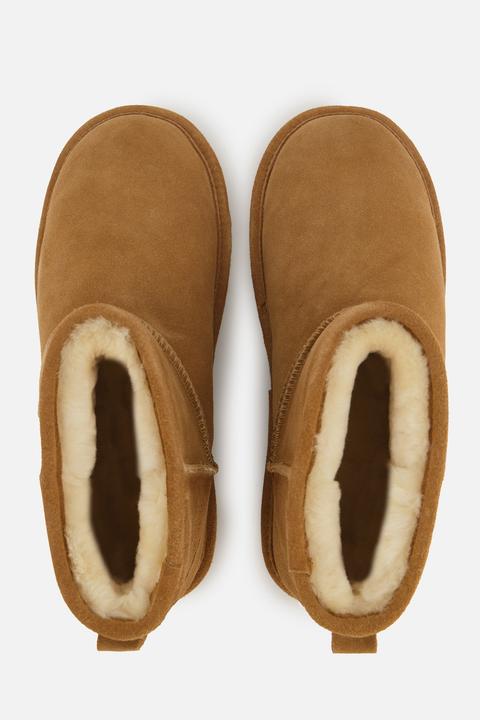 Actual product image Warmbat Wallaby (42)