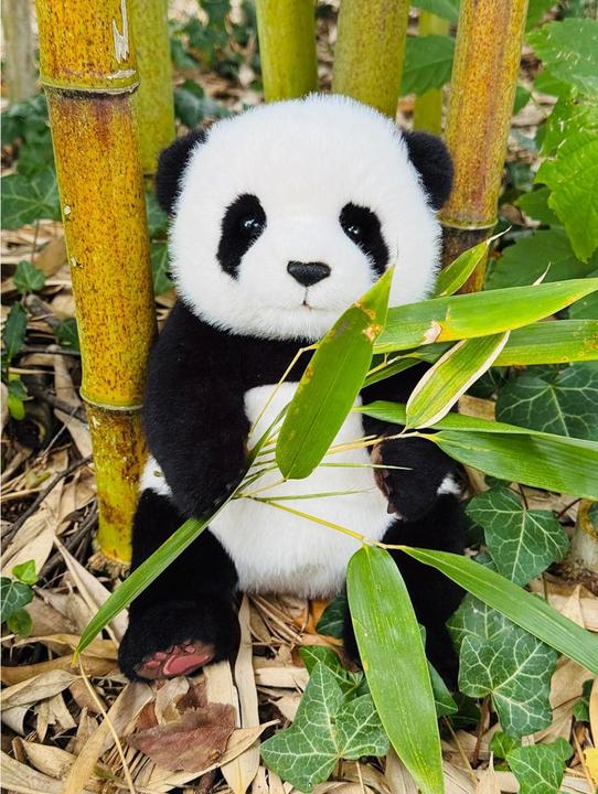 Immagine prodotto Teddy Hermann Panda sitzend 28cm (11 cm)