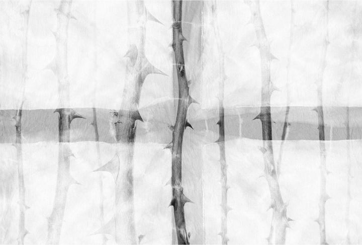 Produktbild Architects Paper Atelier 47 Thorn Art Natur (400 x 270 cm)