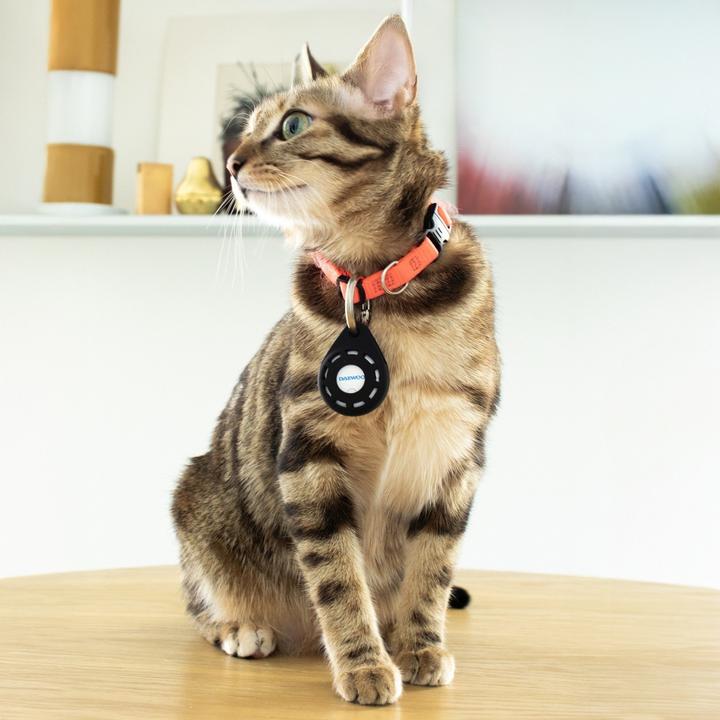 Produktbild Daewoo My Friend Locator iOS APPLE (D-FX11A-W) (Android, iOS)