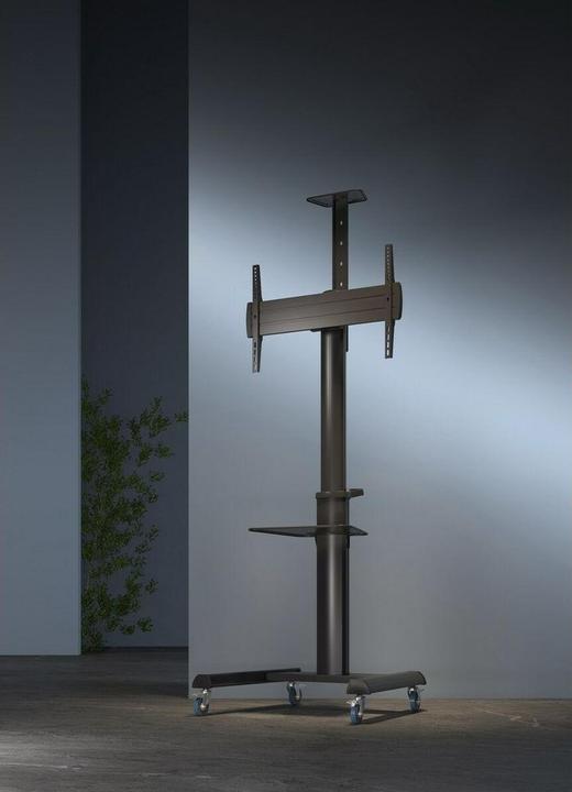 Productafbeelding Gembird Aluminium TV-vloerstandaard (70 kg, 37" - 100")