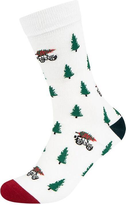 Produktbild Fun Socks Socken Bio-Baumwolle (36 - 40)