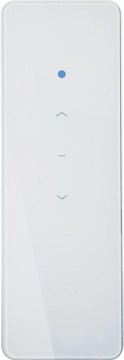 Kaiser Nienhaus Funk-Handsender 1-Kanal 138200