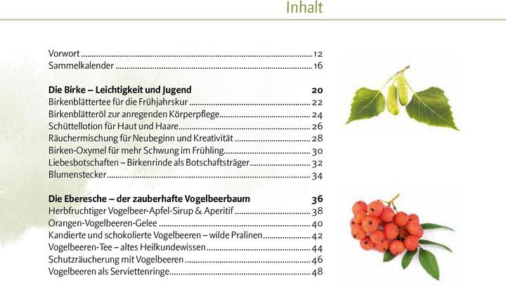 Produktbild Aromatischer Wald (Deutsch, Doris Kern, 2020)