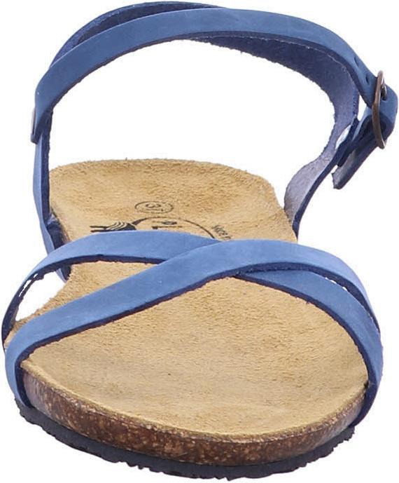 Immagine prodotto Plakton 575029 Limnea (40)