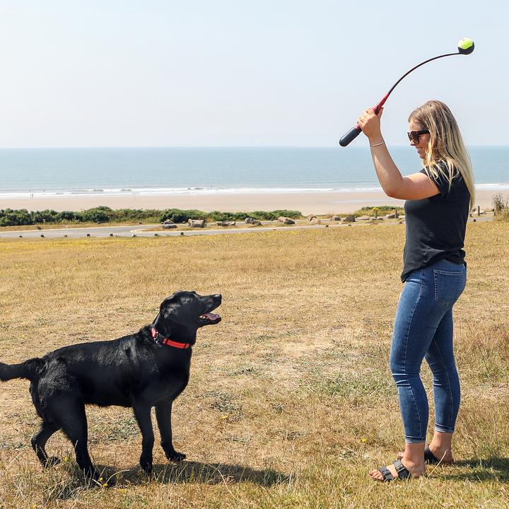 Immagine prodotto KONG HandiPOD (Cucciolata di cane giocattolo)