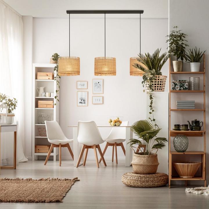 Image du produit Briloner Suspension, noir / naturel, excl.3x E27/max. 10W (E27)