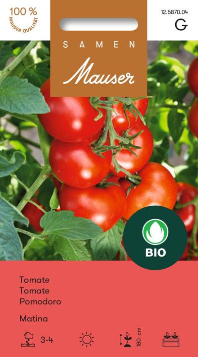 Samen Mauser Bourgeon de tomate biologique Matina (Graines de légumes)