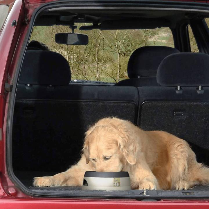 Image du produit Road Refresher Walky