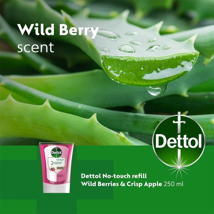 Productafbeelding Dettol Energise Vloeibare Handwas Wilde Bessen Knapperige Appel - 250 ml (Vloeibare zeep, Vullingen, 250 ml)