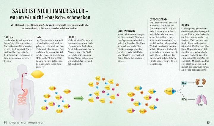 Produktbild Säure-Basen-Kochbuch (Deutsch, Jürgen Vormann, 2015)
