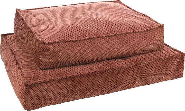 Flamingo Reno (Hund)