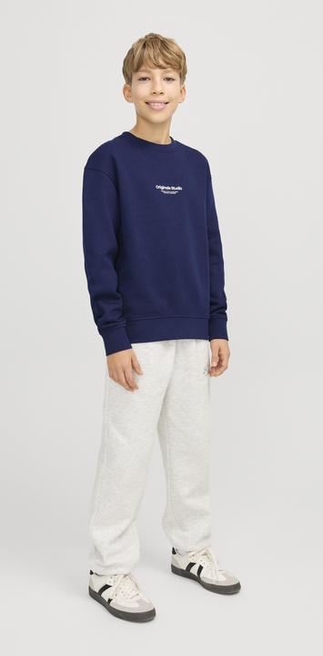 Image du produit Jack & Jones Jorvesterbro Sweat Crew Neck Noos Jnr (152)
