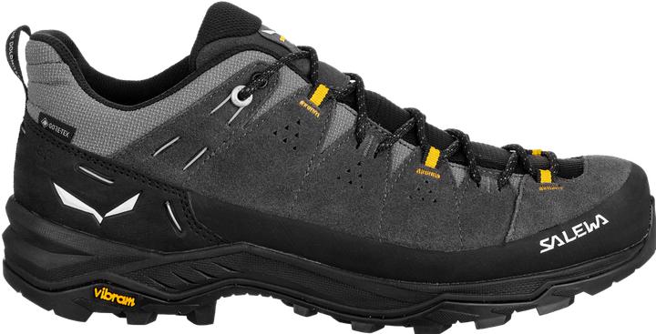 Image du produit Salewa Alp Trainer 2 GTX (40)