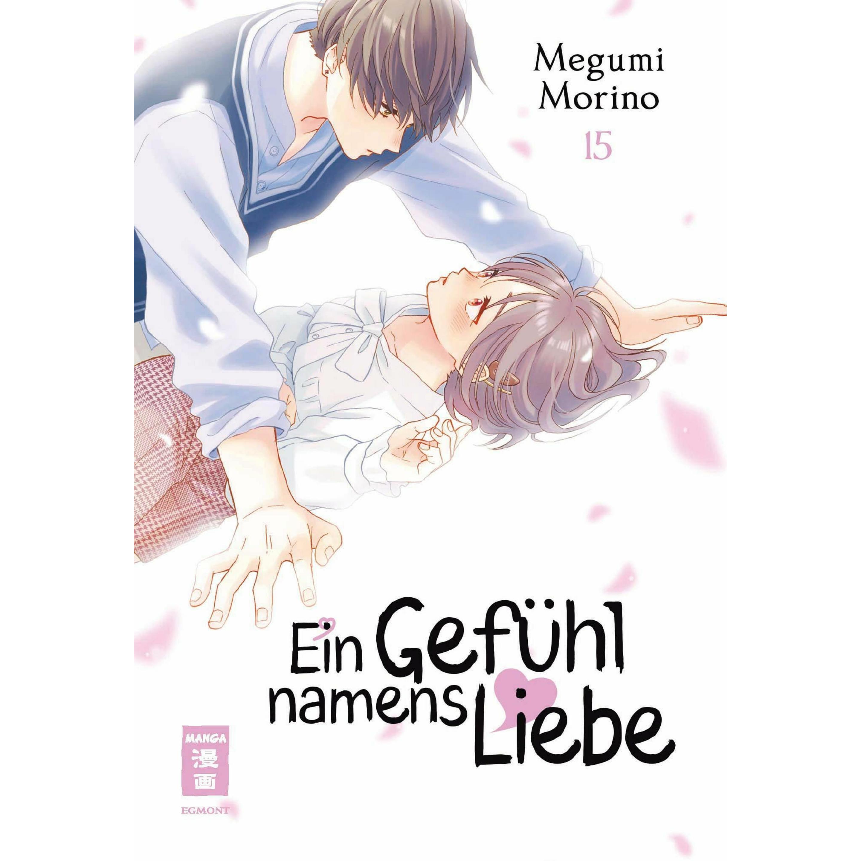 Ein Gefühl namens Liebe 15, Belletristik von Megumi Morino