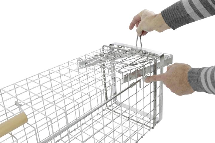 Actual product image Kerbl Box Trap Alive Predator Super