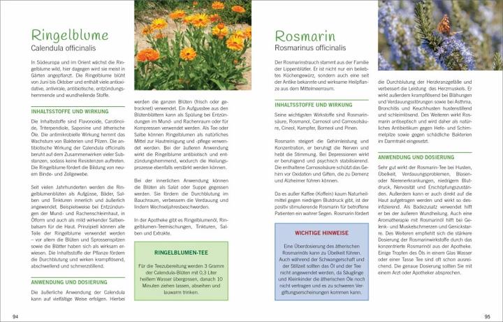 Produktbild Antibiotische Heilpflanzen (Deutsch, Liesel Malm, 2018)