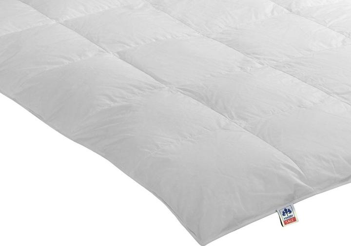 Produktbild Irisette Daunenkassettendecke Nora warm (910 g, 155 x 220 cm)