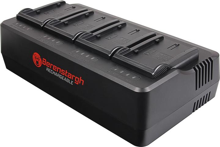 Actual product image Berenstargh 4-f??h L?d?g?rät für Panasonic VW-VBD29 VW-VBD58 VW-VBD78 AJ-PX298MC HDC-MDH2GK AJ-HPX27 (Camera battery charger)
