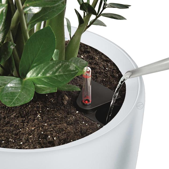 Immagine prodotto Lechuza Rondo (32.50 x 56.50 cm)