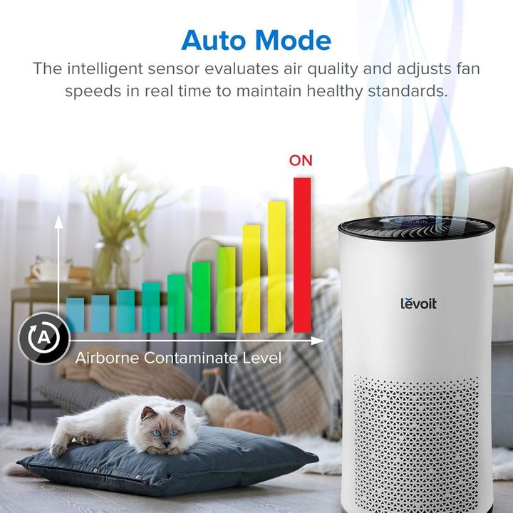 Actual product image Levoit LV-H133 (41 m²)