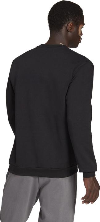 Actual product image adidas Entrada 22 sweatshirt men (XS)