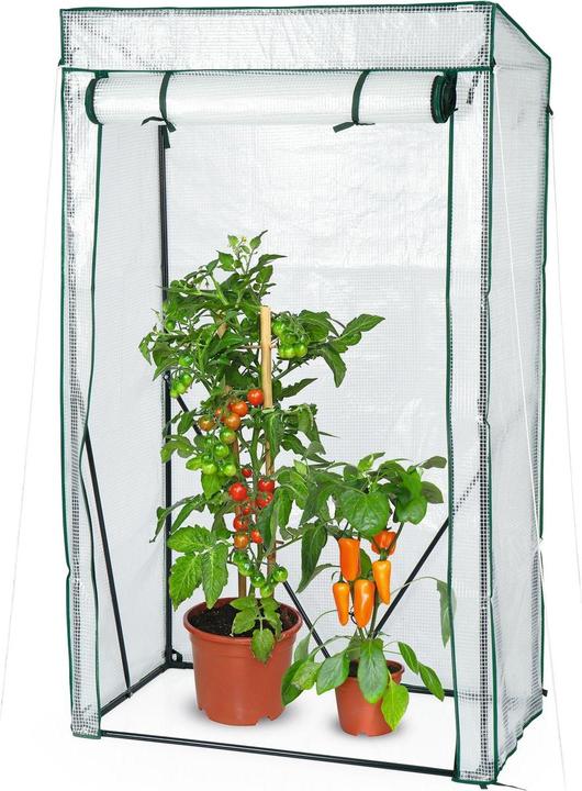 Actual product image Hoberg Greenhouse