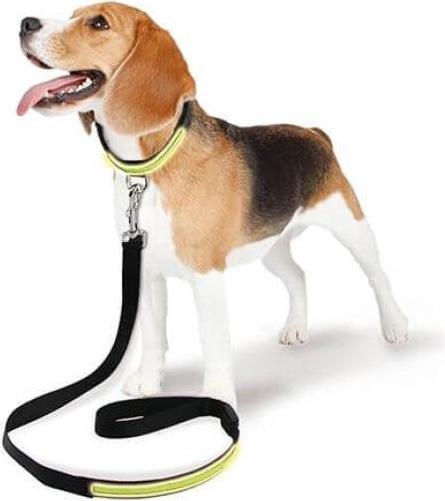 Image du produit Swisspet Ligne lumineuse Fluo (Chien, Sport canin)