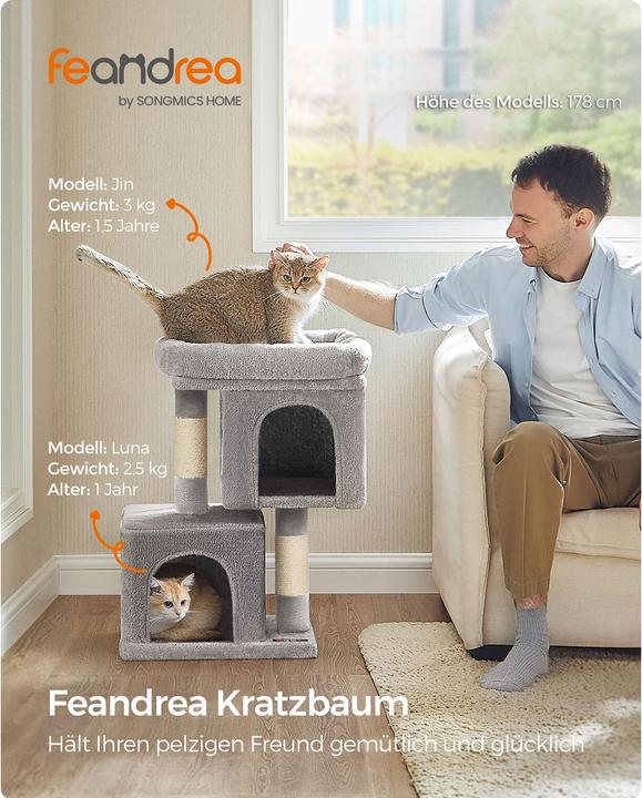 Immagine prodotto Feandrea Simba (67 cm, Grigio)