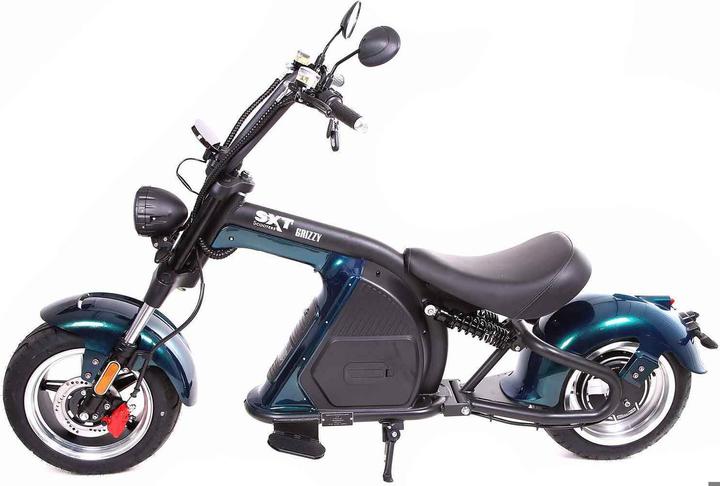 Actual product image Sxt Grizzy (45 km/h)