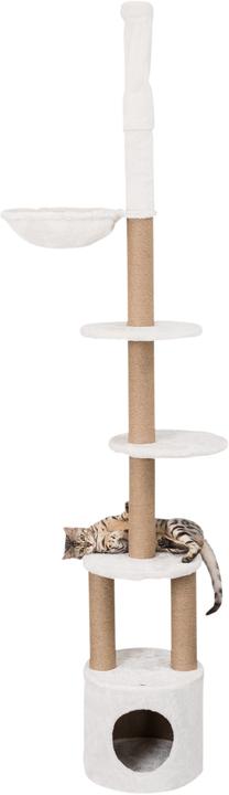 Trixie Scratching post (250 cm, Brown, White)