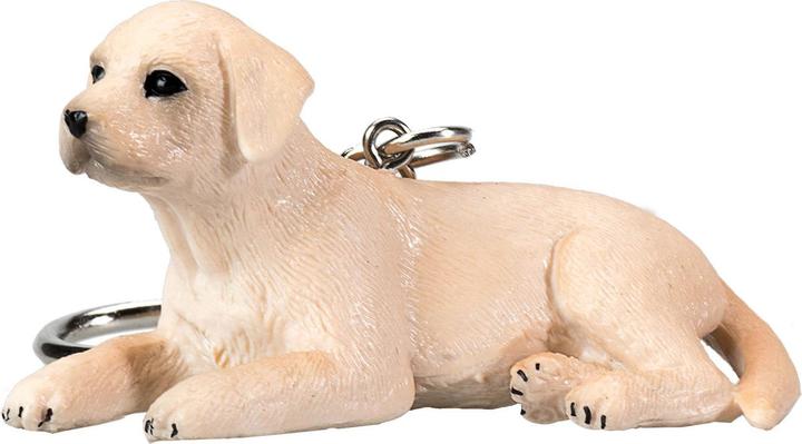 Actual product image Labrador