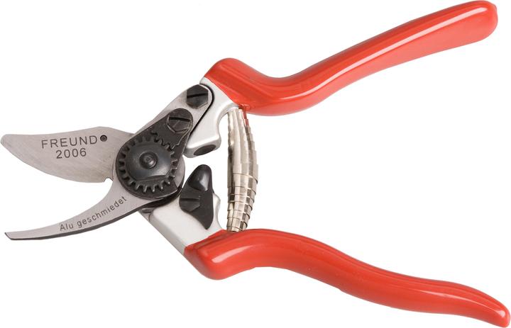 Actual product image Freund Victoria Garden shears 2006 Blade carbon steel 21 cm to ÃƒÂ¸ 22 mm branch shears