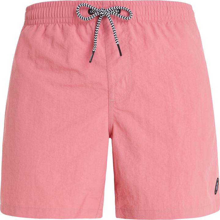 Protest FASTER beachshort