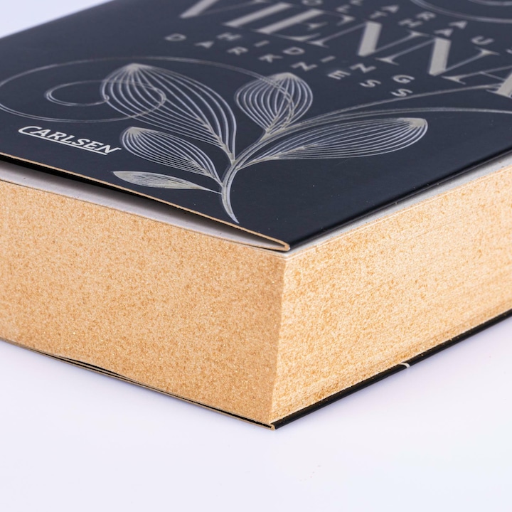 Actual product image Vienna 2: Hiding Darkness (German, Lara Holthaus, 2024)