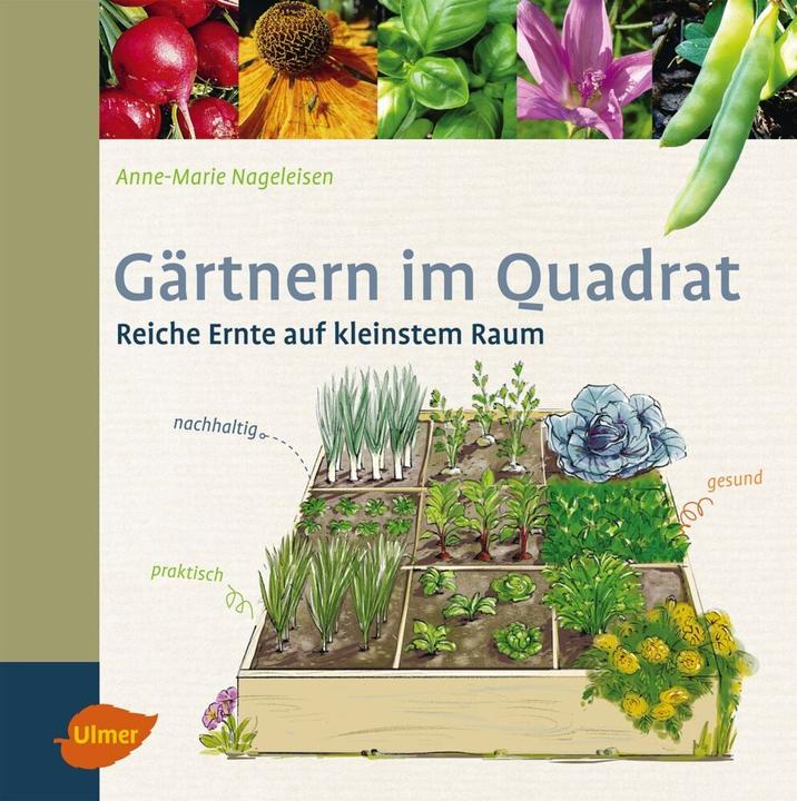 Produktbild Gärtnern im Quadrat (Deutsch, Anne-Marie Nageleisen, 2015)