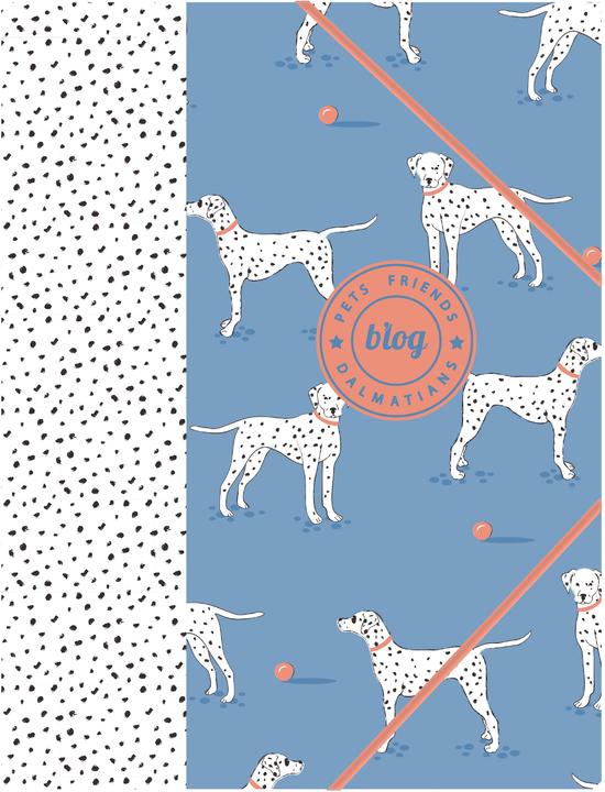 Ancor PET FRIENDS - Gummibandmappe (A4, 1x)