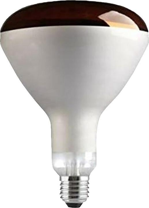 Tusk Lampe infrarouge Intelec avec verre dur (250 W)