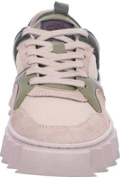 Image du produit Apple Of Eden AW24-LIMA 70 (36)